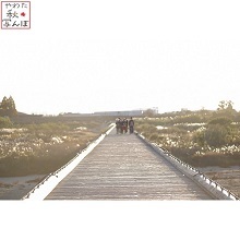 流れ橋を歩く人の写真